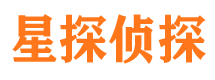 龙州侦探公司